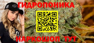 соль ск Лесосибирск